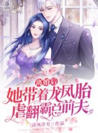 《离婚后，她带着龙凤胎虐翻霸总前夫》安洛瑾司北辰小说精彩章节在线阅读