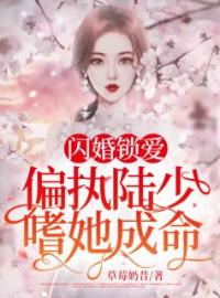 闪婚锁爱：偏执陆少嗜她成命小说全集免费在线阅读（顾清溪陆景翊）