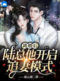 《离婚后，陆总他开启追妻模式》小说全集免费在线阅读（叶蓁陆栖迟）