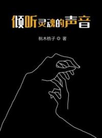 倾听灵魂的声音完整全文阅读 王琰程明小说结局无删节