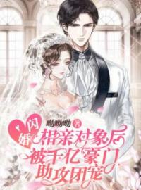 《闪婚相亲对象后，被千亿豪门助攻团宠》乔仪贺霆小说精彩章节在线阅读