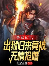 小说《炼狱五年，出狱归来竟被无情抢婚》陈凡唐婉君全文免费试读