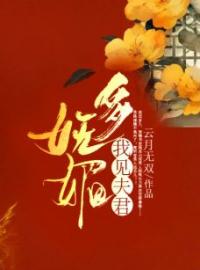 我见夫君多妩媚(贺锦书雁回)全文完结在线阅读完整版