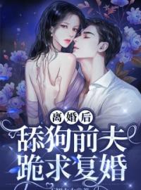 《离婚后，舔狗前夫跪求复婚》小说全文精彩章节在线阅读（傅婉晴傅北琛）