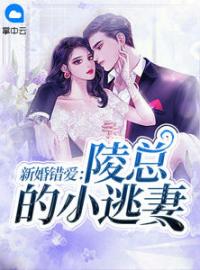 陵懿黎景致小说大结局在线阅读 《新婚错爱：陵总的小逃妻》小说免费试读