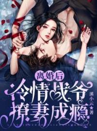 离婚后，冷情战爷撩妻成瘾完整版 姜婳战擎夜全章节阅读