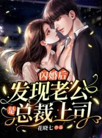 《闪婚后，发现老公是总裁上司》小说全集免费在线阅读（苏绾绾薄司夜）