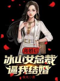 离婚后，冰山女总裁逼我结婚燕北王莹小说完整篇在线阅读