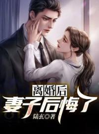 《离婚后，妻子后悔了》小说全集免费在线阅读（陆青玄李云梦）