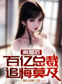 离婚后，百亿女总裁追悔莫及全文免费试读(叶乘风陈落雪) 完结版