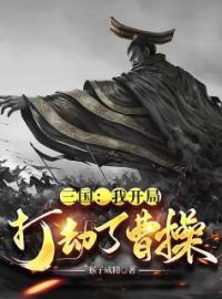 三国：我开局打劫了曹操全本资源 赵寅曹操完整未删减版