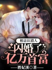 相亲认错人，闪婚了亿万首富完整版 夏润音冷司夜全章节阅读