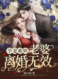 孕妻难哄：老婆，离婚无效！全文在线阅读 文思厉渊小说全本无弹窗