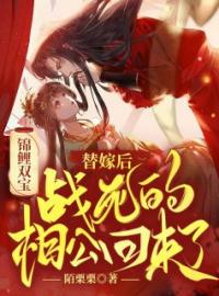 《锦鲤双宝：替嫁后，战死的相公回来了》小说全文精彩章节在线阅读（殷瑶江离）