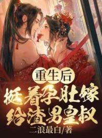 《重生后，挺着孕肚嫁给渣男皇叔》小说全文精彩章节在线阅读（叶惊澜萧行煜）