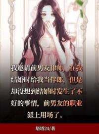 《律师前男友》小说全文精彩章节在线阅读（魏苏苏林锦年）