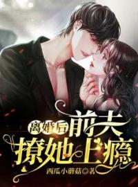 《离婚后，前夫撩她上瘾》洛乔一顾知深全文阅读