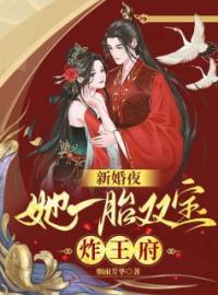 新婚夜：她一胎双宝炸王府(慕云澜楚寒霄)全文完结在线阅读完整版