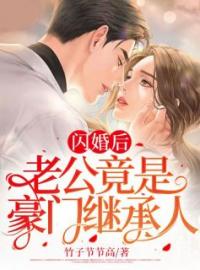 小说《闪婚后，老公竟是豪门继承人》苏念夏陆震霆全文免费试读