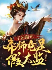 王妃曝光：帝师竟是假太监李辰冰儿小说全文免费试读