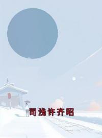 司浅许齐昭全文免费试读(司浅许齐昭) 完结版