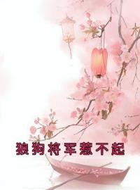 《狼狗将军惹不起》陆寒熙皇后小说全文免费试读