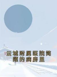 云城附属医院简陋的病房里雪夜乔甯雪秦凛之小说精彩章节在线阅读