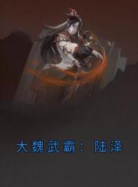 《大魏武霸：陆泽》小说完整版在线阅读（主角陆泽曹正钦）