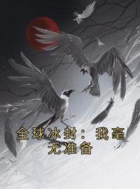 《全球冰封：我毫无准备》小说全文精彩章节在线阅读（张浩江河）