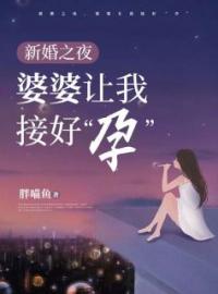 新婚之夜，婆婆让我接好“孕”全文免费试读(淑慧郑子健) 完结版