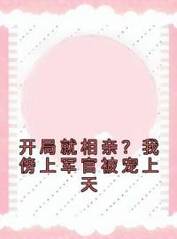 齐糖岳纪明小说叫什么_开局就相亲？我傍上军官被宠上天小说