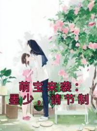 萌宝来袭：墨少，请节制全章节免费试读 主角叶珺墨止喆完结版