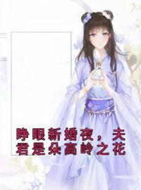 睁眼新婚夜，夫君是朵高岭之花完整版 陈琬琰赵瑾瑜全章节阅读