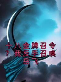 十八金牌召令？我反手召唤岳飞秦长安岳飞小说_十八金牌召令？我反手召唤岳飞小说章节