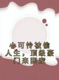 《小可怜被偷人生，顶级豪门来团宠》最新章节 小可怜被偷人生，顶级豪门来团宠黎小鸭盛玉霄全文阅读