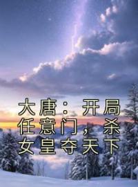 《大唐：开局任意门，杀女皇夺天下》小说全集免费在线阅读（李承乾李世民）