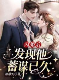 闪婚后，发现他蓄谋已久全文免费试读(虞夏周言礼) 完结版