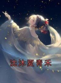 沈沐夏青禾完整版 沈沐夏青禾全章节阅读