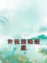 许佳茜陆绍庭(许佳茜陆绍庭)全文完结在线阅读完整版