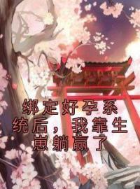 小说《绑定好孕系统后，我靠生崽躺赢了》江照渔盛序淮全文免费试读