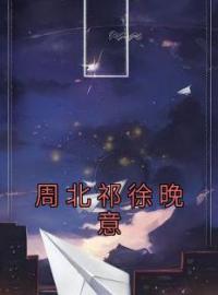 周北祁徐晚意全文免费试读(徐晚意周北祁) 完结版