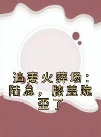 秦暖陆寒泽小说章节目录 追妻火葬场：陆总，膝盖跪歪了全文阅读