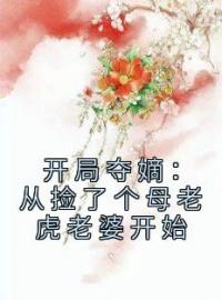 开局夺嫡：从捡了个母老虎老婆开始程素素宋桓免费在线全文阅读