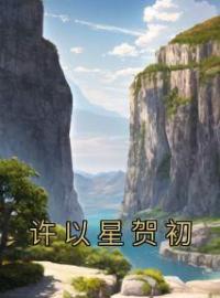 许以星贺初完整版 许以星贺初全章节阅读