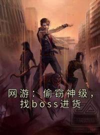 《网游：偷窃神级，找boss进货》小说全集免费在线阅读（陈铭陈佳佳）