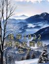 魂穿1922成为军阀独生子