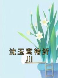 《沈玉鸾褚沂川》小说最新章节免费试读（完整版未删节）