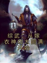 综武：从嫁衣神功大圆满开始全文免费试读(姜澜都韵瑶) 完结版