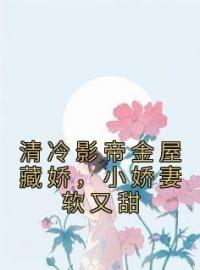 《清冷影帝金屋藏娇，小娇妻软又甜》小说全文精彩章节在线阅读（洛洛傅清宴）