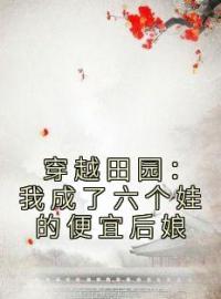 小说《穿越田园：我成了六个娃的便宜后娘》叶兰舟江阿大全文免费试读